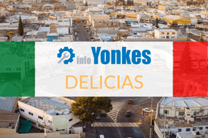 Yonkes en Delicias. Directorio de Yonkes con teléfonos, direcciones y horarios